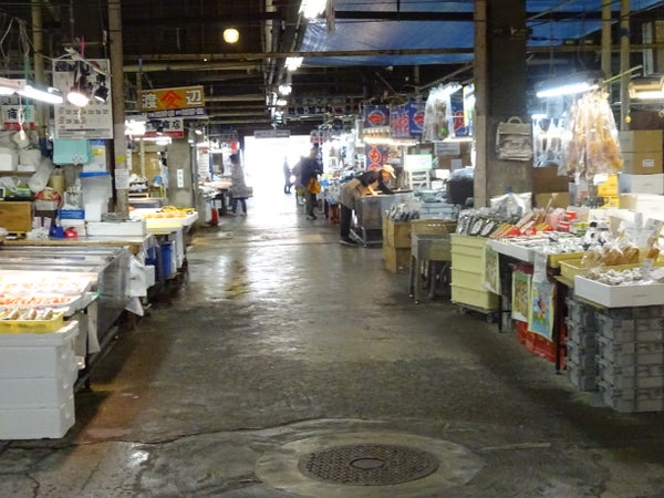 【寒河江・東根・天童・山形市内発】海の幸!山の幸!銘酒! 歳末まるごと買い出し&イルミネーション in宮城1